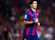 开云官网-武切维奇，从沉默基石到绝杀英雄，掘金逆转黄蜂的夜晚他定义了关键