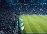 开云官网-2026世界杯焦点战前瞻，里昂雄狮鏖战厄瓜多尔高原雄鹰