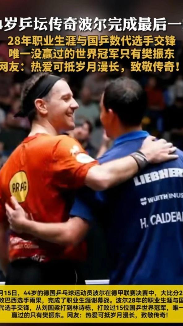 德国乒乓球队逆转法国乒乓球队,波尔送出助攻的简单介绍 德国乒乓球队逆转法国乒乓球队,波尔送出助攻的简单介绍