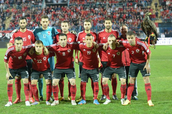 荷兰战平利比亚，小组头名稳居不下