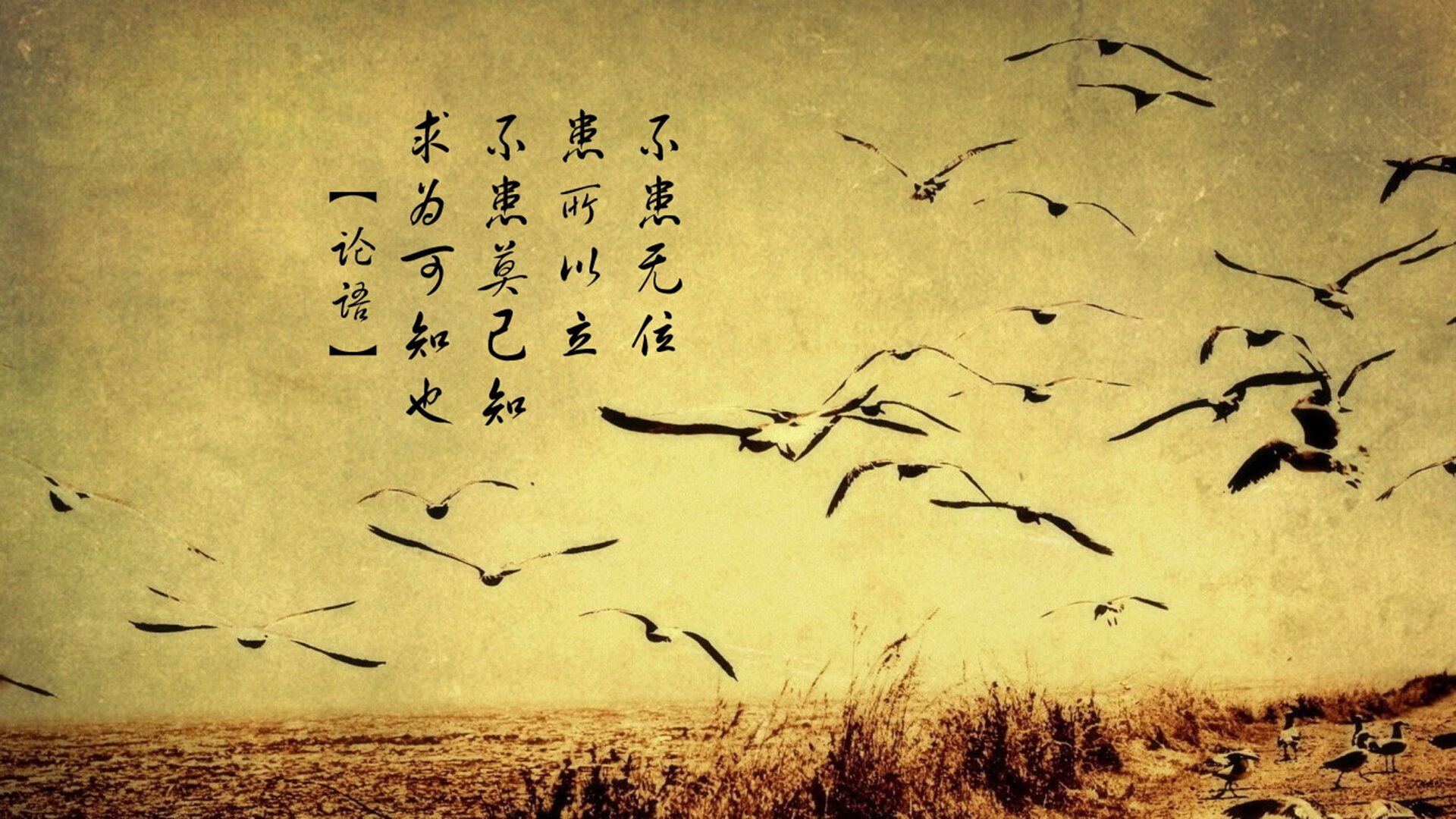 年度焦点之战之夜，克瓦拉茨赫利亚关键回合不手软