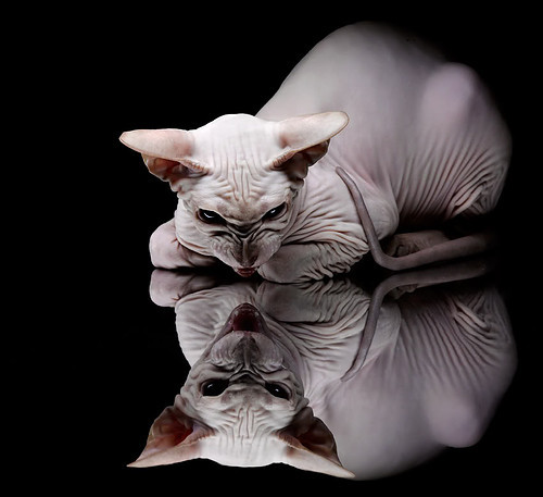 跨界狂想,当芬兰封锁那不勒斯,蒂亚戈在NBA季后赛接管比赛